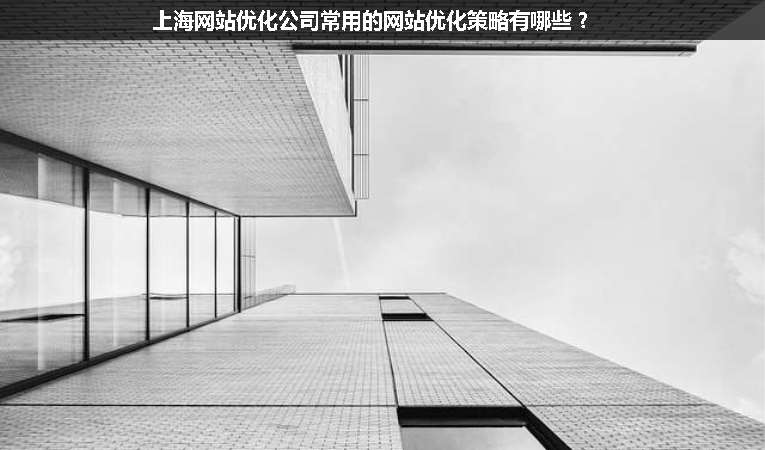 上海網站優化公司常用的網站優化策略有哪些？