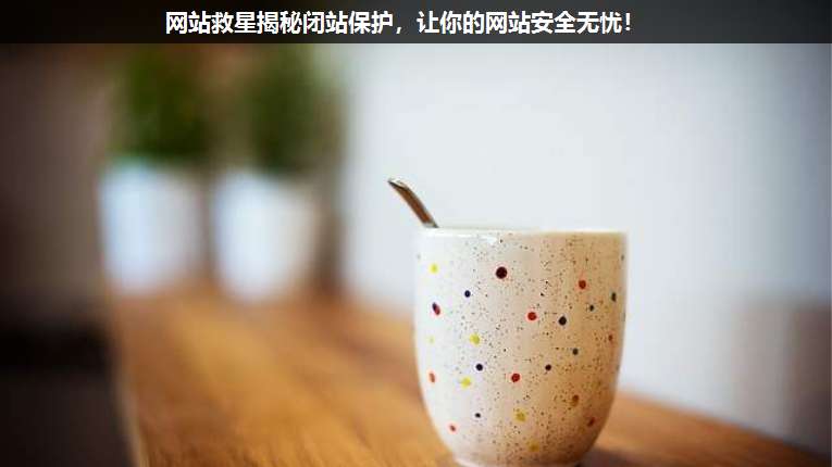 網站救星揭秘閉站保護,讓你的網站安全無憂!