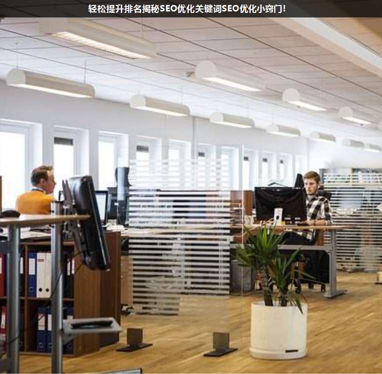 輕松提升排名揭秘SEO優化關鍵詞SEO優化小竅門!