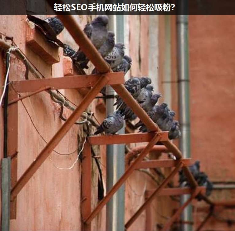 輕松SEO手機網站如何輕松吸粉?