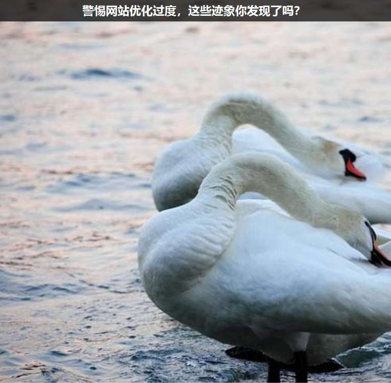 警惕網站優化過度,這些跡象你發現了嗎?