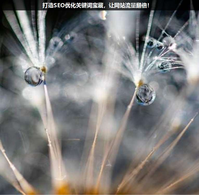 打造SEO優化關鍵詞寶藏,讓網站流量翻倍!